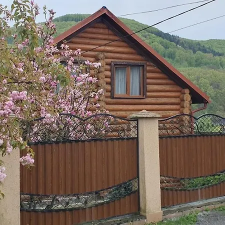 Smerekovyi Dvir Polyana (Transcarpathia)