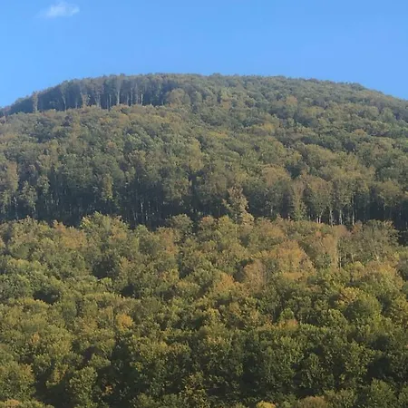 Feriehus Smerekovyi Dvir Polyana (Transcarpathia)