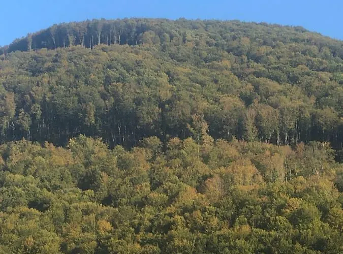 度假居 Smerekovyi Dvir 波利亚纳