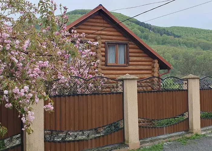 Smerekovyi Dvir Polyana (Transcarpathia)